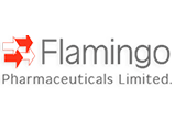 flamingo-e1627922717118